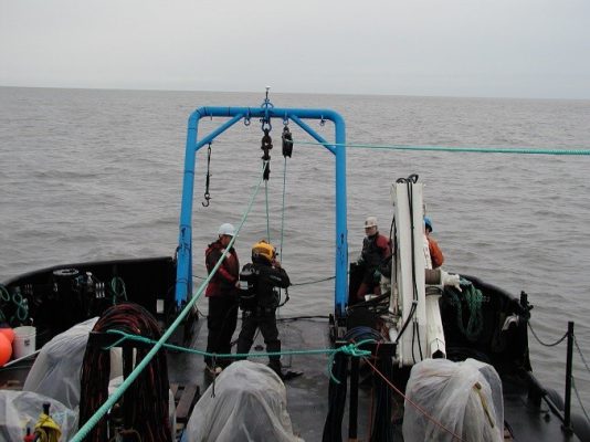 Tyonek Pipeline Remediation Project 2005