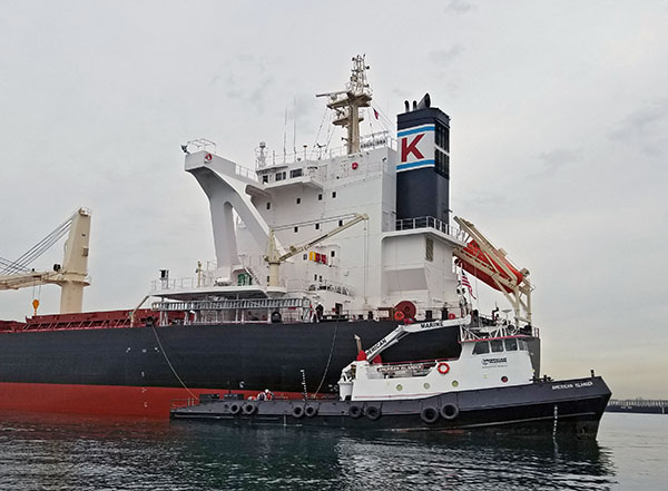 Vessel Support by American Marine Corporation