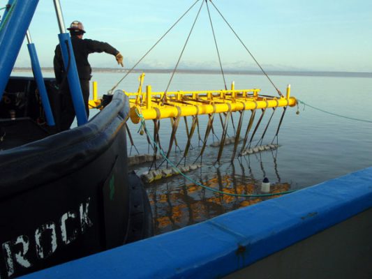 Trading-Bay-Lowering-Concrete-Mat-Into-Water