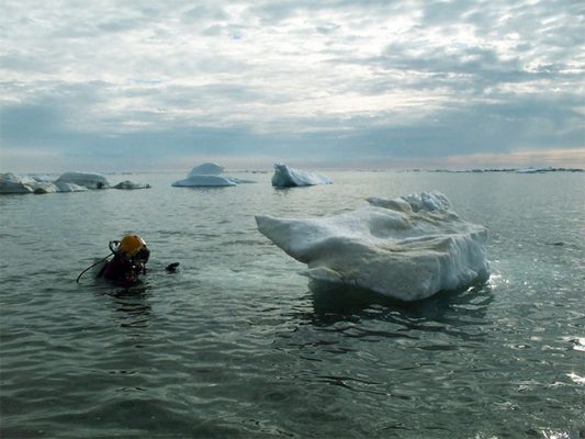 diver in alaska waters